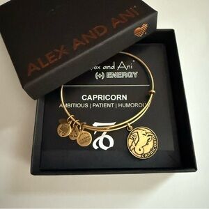 Alex and Ani Gold Finish Capricorn Bracelet NWOT